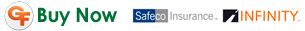 Buy Auto Insurance in Naples Florida